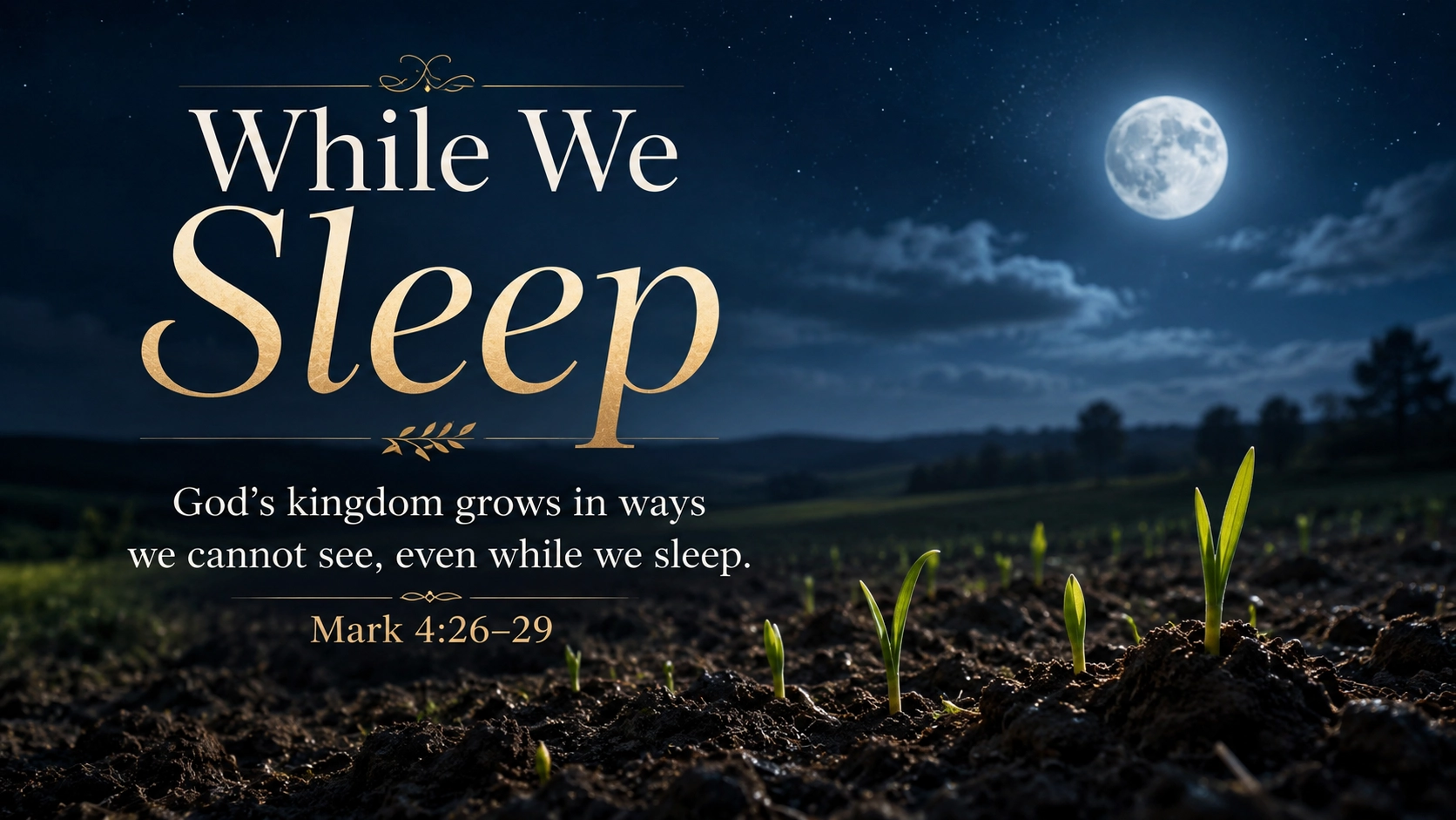 While We Sleep