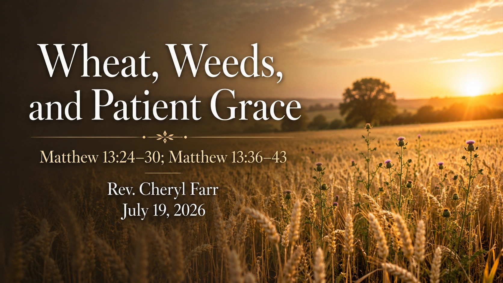 Wheat, Weeds, and Patient Grace title slide